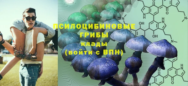 спайс Баксан