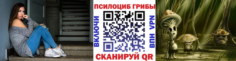 гидра как зайти  продажа наркотиков  Лянтор  Псилоцибиновые грибы Psilocybe 