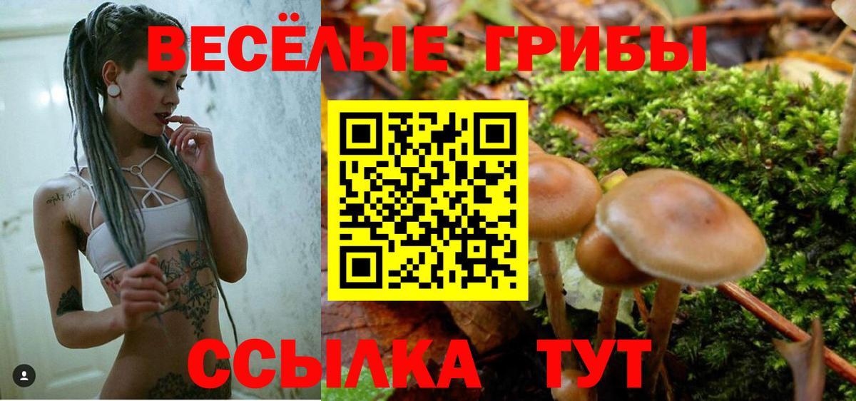Псилоцибиновые грибы ЛСД  Псилоцибиновые грибы мицелий  Вход с VPN  Лянтор 